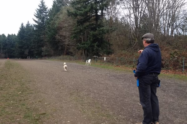 Shoreview Park Off-Leash Area photo 1